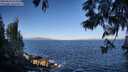 ./images/koeye/fitz-hugh/20250609/fitz-hugh20250609_075507M.jpg
