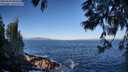 ./images/koeye/fitz-hugh/20250609/fitz-hugh20250609_080510M.jpg