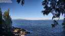 ./images/koeye/fitz-hugh/20250609/fitz-hugh20250609_082510M.jpg