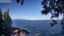 ./images/koeye/fitz-hugh/20250609/fitz-hugh20250609_083011M.jpg