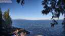 ./images/koeye/fitz-hugh/20250609/fitz-hugh20250609_083508M.jpg