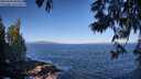 ./images/koeye/fitz-hugh/20250609/fitz-hugh20250609_084010M.jpg