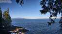 ./images/koeye/fitz-hugh/20250609/fitz-hugh20250609_084508M.jpg