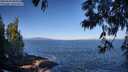 ./images/koeye/fitz-hugh/20250609/fitz-hugh20250609_085010M.jpg