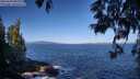 ./images/koeye/fitz-hugh/20250609/fitz-hugh20250609_085509M.jpg
