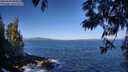 ./images/koeye/fitz-hugh/20250609/fitz-hugh20250609_090012M.jpg