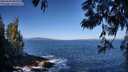 ./images/koeye/fitz-hugh/20250609/fitz-hugh20250609_090509M.jpg
