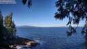 ./images/koeye/fitz-hugh/20250609/fitz-hugh20250609_091009M.jpg