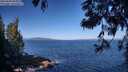 ./images/koeye/fitz-hugh/20250609/fitz-hugh20250609_092010M.jpg