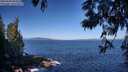 ./images/koeye/fitz-hugh/20250609/fitz-hugh20250609_092511M.jpg
