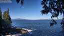 ./images/koeye/fitz-hugh/20250609/fitz-hugh20250609_093012M.jpg