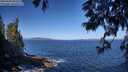 ./images/koeye/fitz-hugh/20250609/fitz-hugh20250609_093509M.jpg