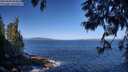 ./images/koeye/fitz-hugh/20250609/fitz-hugh20250609_094011M.jpg