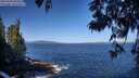 ./images/koeye/fitz-hugh/20250609/fitz-hugh20250609_094510M.jpg