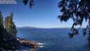 ./images/koeye/fitz-hugh/20250609/fitz-hugh20250609_095010M.jpg