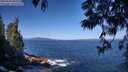 ./images/koeye/fitz-hugh/20250609/fitz-hugh20250609_095510M.jpg