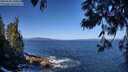 ./images/koeye/fitz-hugh/20250609/fitz-hugh20250609_100012M.jpg