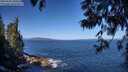 ./images/koeye/fitz-hugh/20250609/fitz-hugh20250609_100510M.jpg