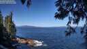 ./images/koeye/fitz-hugh/20250609/fitz-hugh20250609_101011M.jpg