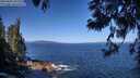./images/koeye/fitz-hugh/20250609/fitz-hugh20250609_101511M.jpg
