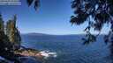 ./images/koeye/fitz-hugh/20250609/fitz-hugh20250609_102510M.jpg