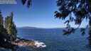./images/koeye/fitz-hugh/20250609/fitz-hugh20250609_103012M.jpg