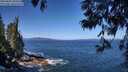 ./images/koeye/fitz-hugh/20250609/fitz-hugh20250609_104510M.jpg