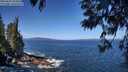 ./images/koeye/fitz-hugh/20250609/fitz-hugh20250609_105010M.jpg
