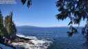 ./images/koeye/fitz-hugh/20250609/fitz-hugh20250609_105510M.jpg