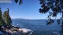./images/koeye/fitz-hugh/20250609/fitz-hugh20250609_110012M.jpg