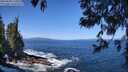 ./images/koeye/fitz-hugh/20250609/fitz-hugh20250609_110510M.jpg