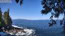 ./images/koeye/fitz-hugh/20250609/fitz-hugh20250609_111009M.jpg
