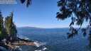 ./images/koeye/fitz-hugh/20250609/fitz-hugh20250609_111512M.jpg