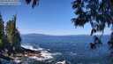 ./images/koeye/fitz-hugh/20250609/fitz-hugh20250609_112510M.jpg