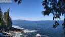 ./images/koeye/fitz-hugh/20250609/fitz-hugh20250609_113010M.jpg