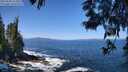 ./images/koeye/fitz-hugh/20250609/fitz-hugh20250609_113509M.jpg