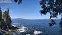 ./images/koeye/fitz-hugh/20250609/fitz-hugh20250609_114010M.jpg
