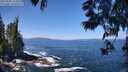 ./images/koeye/fitz-hugh/20250609/fitz-hugh20250609_114511M.jpg