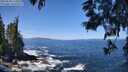 ./images/koeye/fitz-hugh/20250609/fitz-hugh20250609_115010M.jpg
