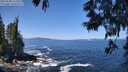 ./images/koeye/fitz-hugh/20250609/fitz-hugh20250609_115510M.jpg