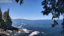 ./images/koeye/fitz-hugh/20250609/fitz-hugh20250609_120011M.jpg