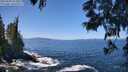 ./images/koeye/fitz-hugh/20250609/fitz-hugh20250609_122010M.jpg