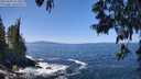 ./images/koeye/fitz-hugh/20250609/fitz-hugh20250609_123508M.jpg