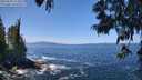 ./images/koeye/fitz-hugh/20250609/fitz-hugh20250609_124010M.jpg