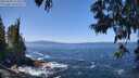 ./images/koeye/fitz-hugh/20250609/fitz-hugh20250609_124511M.jpg