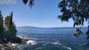 ./images/koeye/fitz-hugh/20250609/fitz-hugh20250609_125011M.jpg
