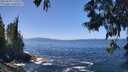 ./images/koeye/fitz-hugh/20250609/fitz-hugh20250609_125506M.jpg