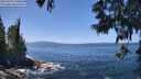 ./images/koeye/fitz-hugh/20250609/fitz-hugh20250609_130012M.jpg