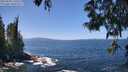 ./images/koeye/fitz-hugh/20250609/fitz-hugh20250609_130510M.jpg