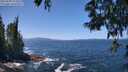 ./images/koeye/fitz-hugh/20250609/fitz-hugh20250609_131011M.jpg